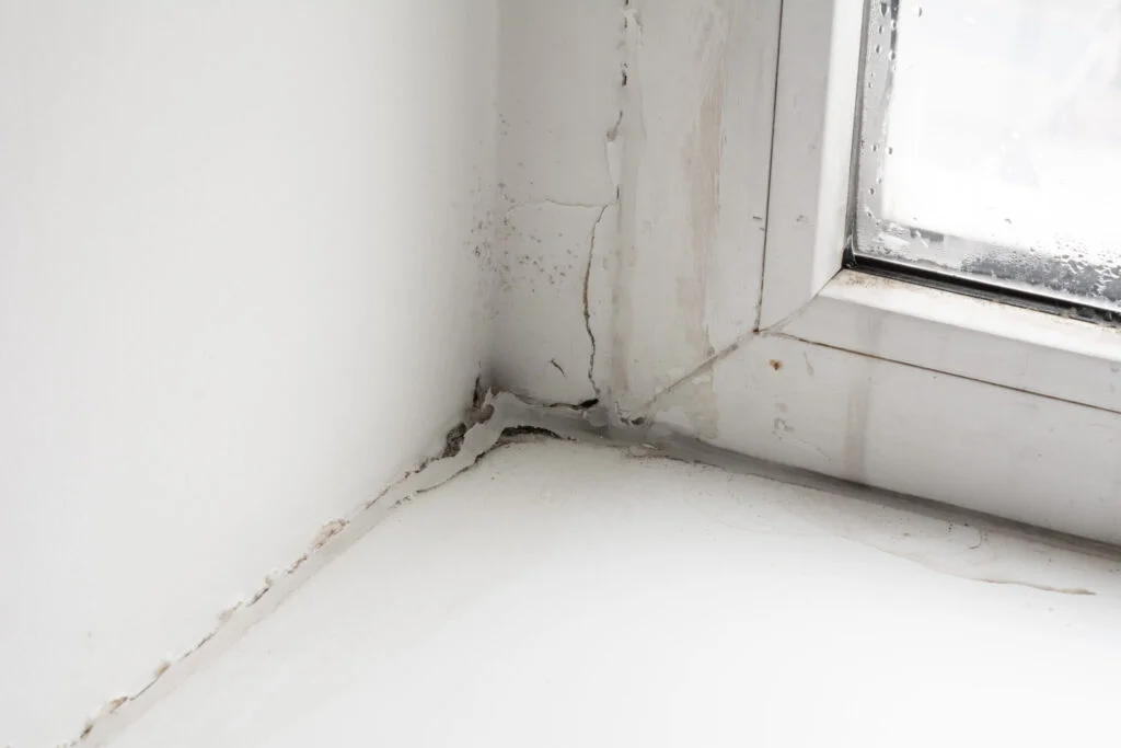 Poor quality windows. Due to poor ventilation, poor-quality installation of plastic windows caused the appearance of black fungus on the windows and window sills.