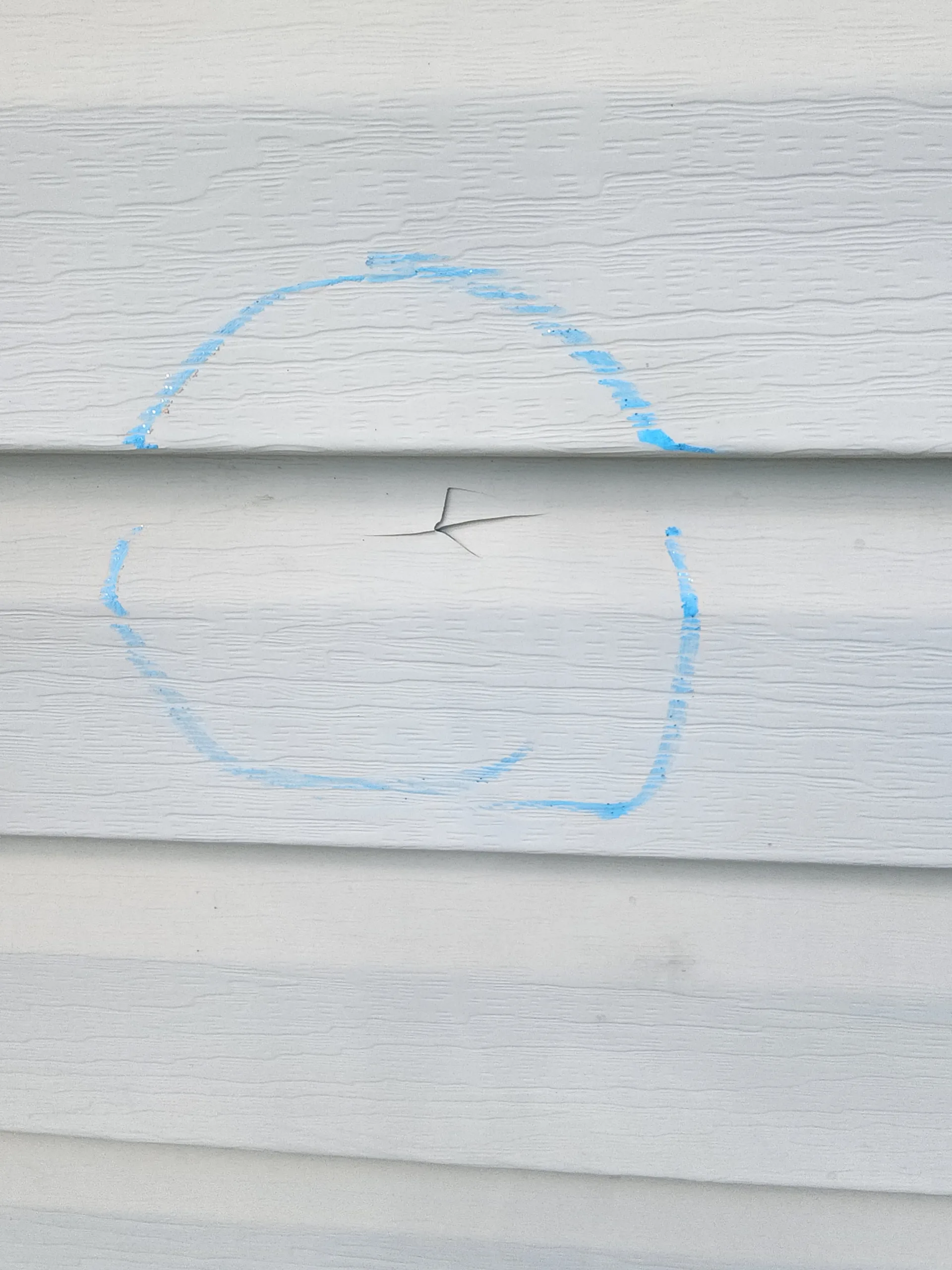 siding inspection 